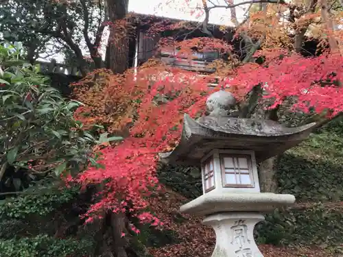 金刀比羅宮の建物その他