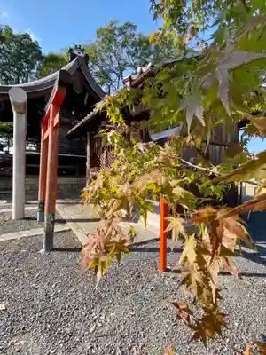 玉田神社(京都府)