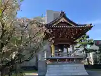 専光寺の{uncategorized: "未分類", other: "その他", undefined: "問題あり", building: "その他建物", grave: "お墓", sacred_gate: "鳥居", guardian: "狛犬", statue: "像", buddha: "仏像", history: "歴史", nature: "自然", garden: "庭園", animal: "動物", pagoda: "塔", temizu: "手水舎", mountain_gate: "山門・神門", sanctuary: "本殿・本堂", subordinate: "末社・摂社", art: "芸術", scenery: "景色", jizo: "地蔵", ema: "絵馬", goshuin: "御朱印", omikuji: "おみくじ", items: "授与品その他", amulet: "お守り", goshuincho: "御朱印帳", eats: "食事", festival: "お祭り", votive_dance: "神楽", shichigosan: "七五三参", wedding: "結婚式", experience: "体験その他", initially: "初詣", around: "周辺", anti_infection: "感染症対策"}