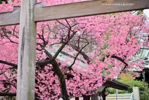 荏原神社(東京都)