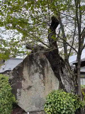 萬休院(山梨県)