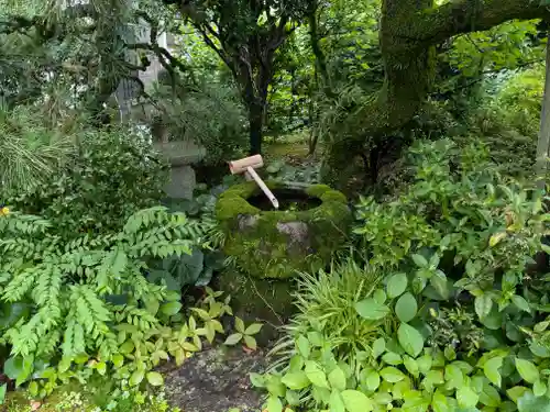 法東山　極楽寺の手水舎