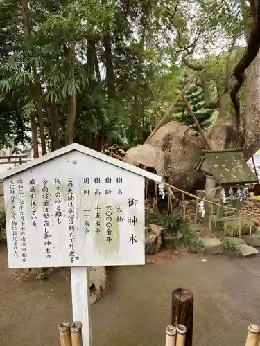 草薙神社の歴史