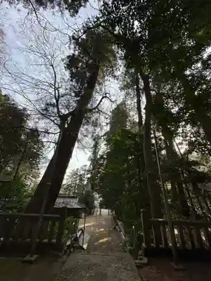 根小屋諏訪神社(神奈川県)