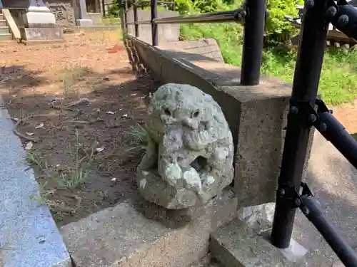 妙見神社の狛犬