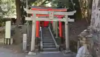 大杉神社(茨城県)