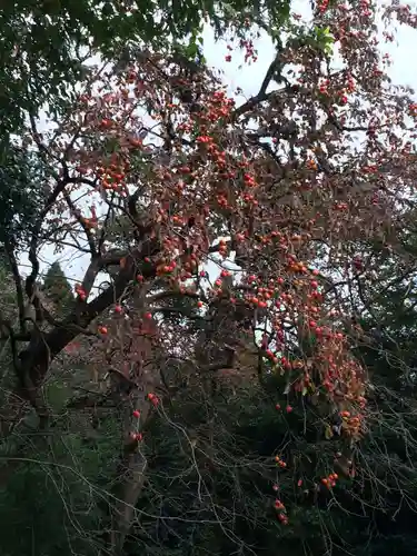 清水寺(福岡県)