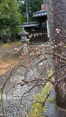 新日吉神宮(京都府)