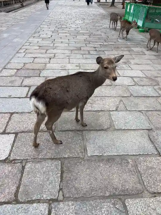 東大寺戒壇院戒壇堂(奈良県)