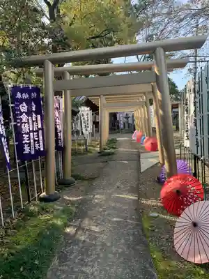 白金龍王社(愛知県)