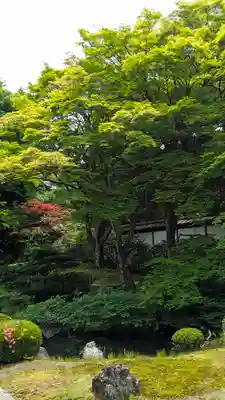 御寺 泉涌寺(京都府)