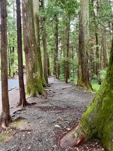 小國神社(静岡県)