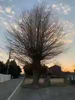 稲荷神社(千葉県)