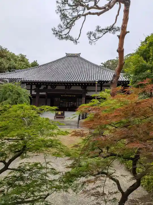 妙法寺(東京都)