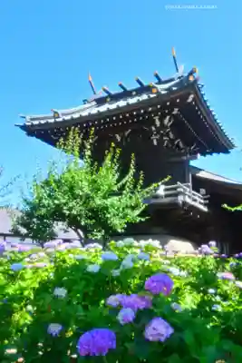 白山神社(東京都)