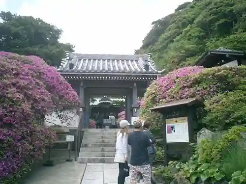 安養院　(田代寺）の山門