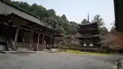 西明寺(滋賀県)