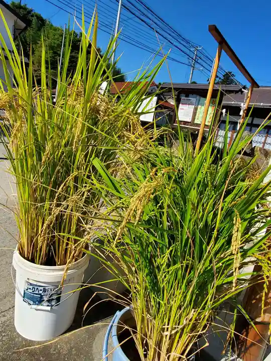 大鏑神社(福島県)