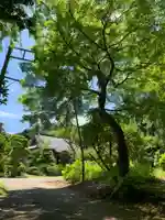 三宝院(千葉県)