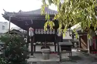 地蔵院(椿寺)(京都府)