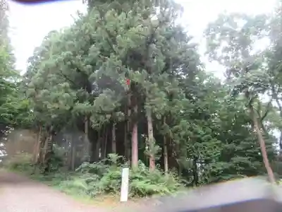胡四王神社(岩手県)