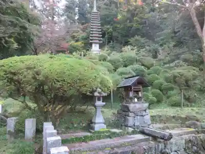岡寺(龍蓋寺)(奈良県)