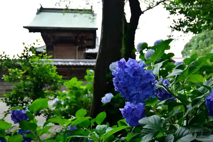 八坂神社のその他建物