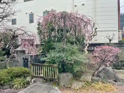 常泉寺(東京都)