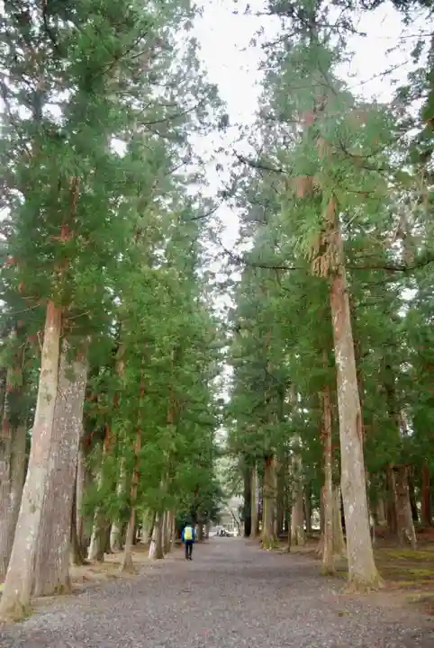 大斎原(熊野本宮大社旧社地)の自然