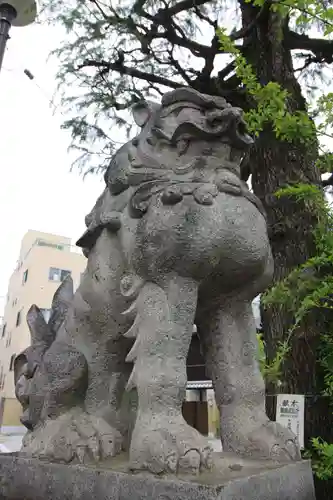 今戸神社の狛犬