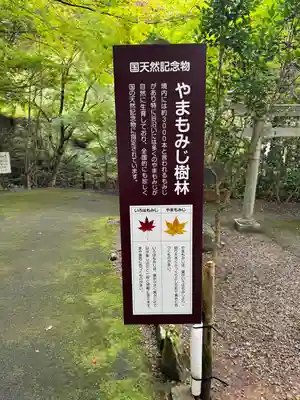 大矢田神社(岐阜県)