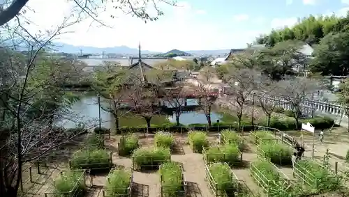 安倍文殊院 の庭園