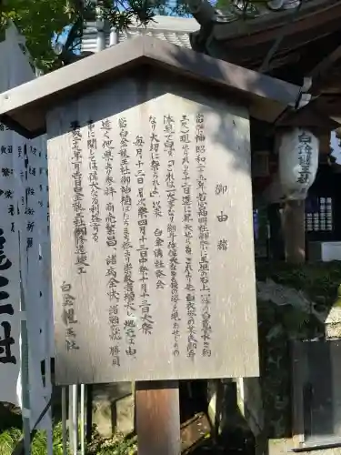 白金龍王社(愛知県)