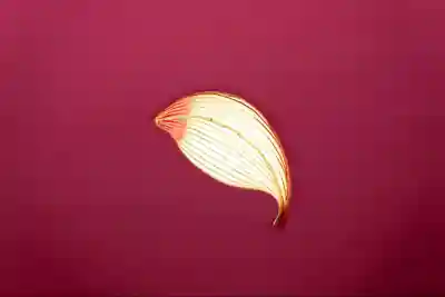 伊勢の国 四天王寺(三重県)