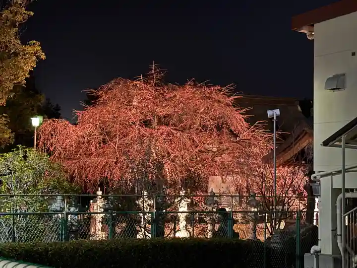 観音神社(広島県)