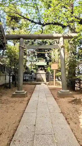 白幡天神社の鳥居