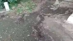 酒門神社の建物その他