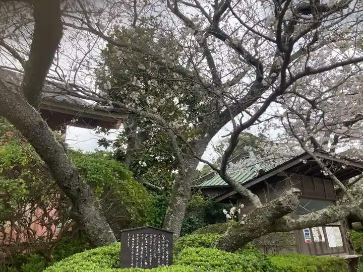 極楽寺(霊鷲山感應院極楽律寺)の自然