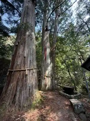 大馬神社(三重県)