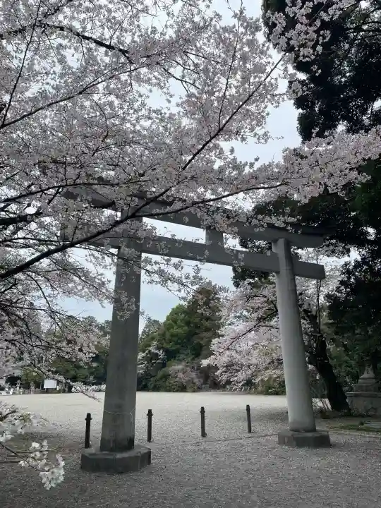 栃木縣護國神社の{uncategorized: "未分類", other: "その他", undefined: "問題あり", building: "その他建物", grave: "お墓", sacred_gate: "鳥居", guardian: "狛犬", statue: "像", buddha: "仏像", history: "歴史", nature: "自然", garden: "庭園", animal: "動物", pagoda: "塔", temizu: "手水舎", mountain_gate: "山門・神門", sanctuary: "本殿・本堂", subordinate: "末社・摂社", art: "芸術", scenery: "景色", jizo: "地蔵", ema: "絵馬", goshuin: "御朱印", omikuji: "おみくじ", items: "授与品その他", amulet: "お守り", goshuincho: "御朱印帳", eats: "食事", festival: "お祭り", votive_dance: "神楽", shichigosan: "七五三参", wedding: "結婚式", experience: "体験その他", initially: "初詣", around: "周辺", anti_infection: "感染症対策"}