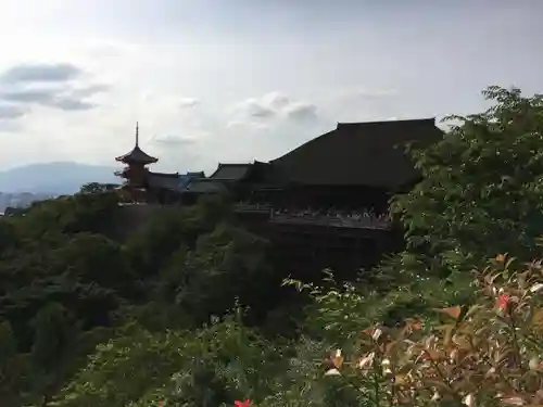 清水寺の景色