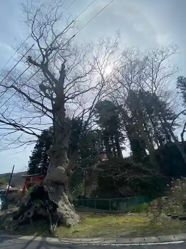 十二神社の自然