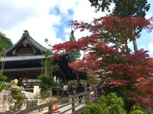 善峯寺(京都府)