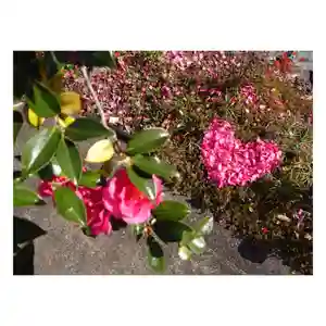 岐阜稲荷山本社(岐阜県)(2023年12月17日(日) 12時53分48秒投稿)