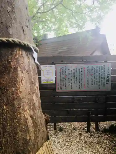 鎮守氷川神社の自然