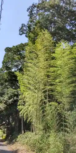 三十番神社(千葉県)