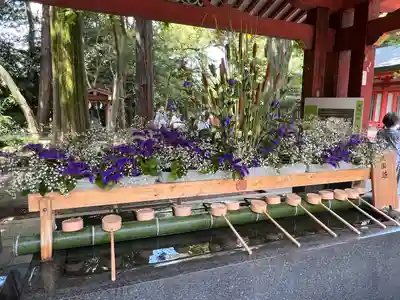 武蔵一宮氷川神社(埼玉県)