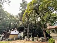 若櫻神社(奈良県)