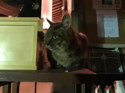 王子神社(徳島県)