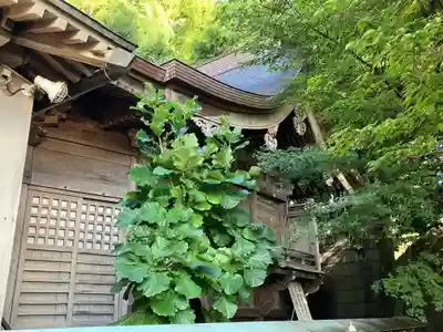 渋川八幡宮(群馬県)